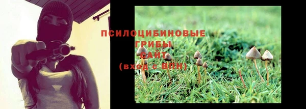 сатива Михайловка