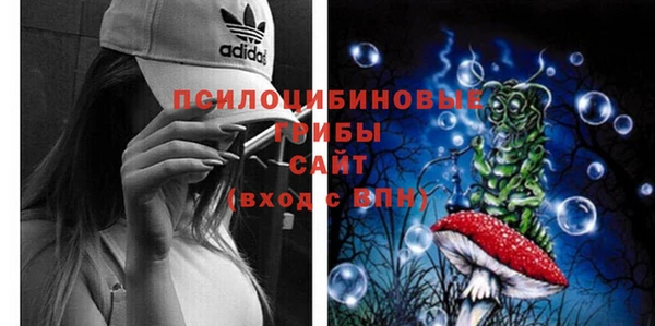 спиды Михайловск